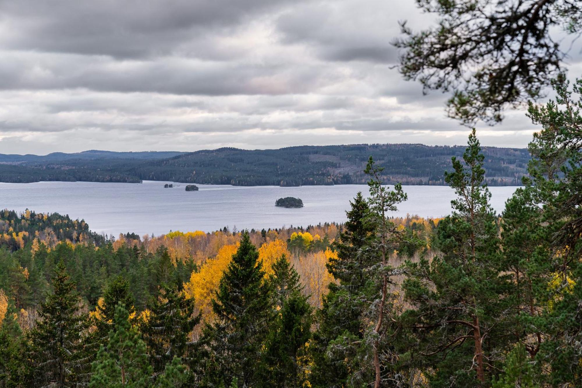 Glaskogen *